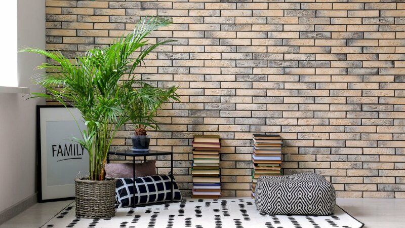 Hình ảnh cây dừa cảnh trang trí nhà đẹp và mang lại phong thuỷ tốt lành