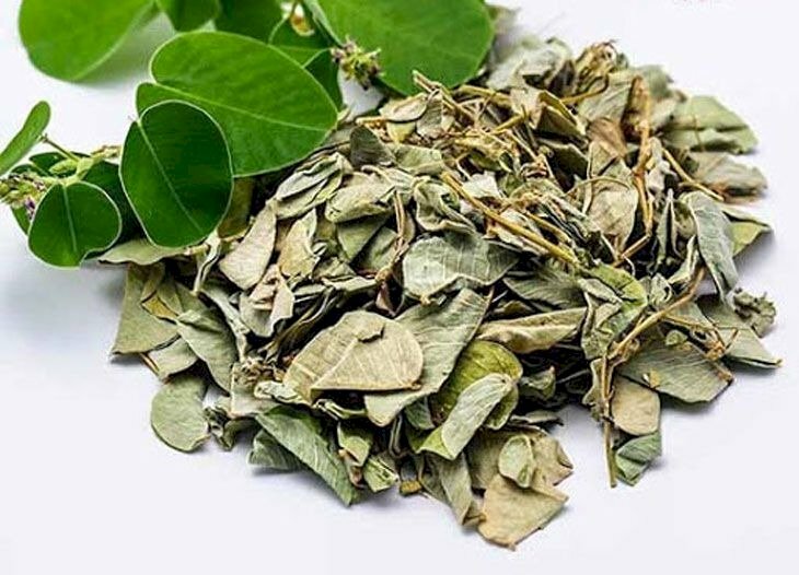 Kim tiền thảo phơi khô hỗ trợ điều trị bệnh