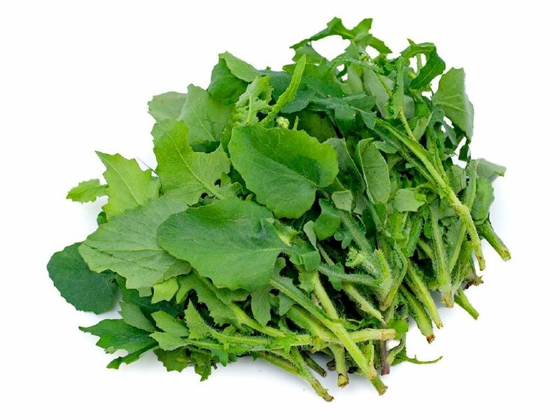 Hình ảnh cây rau cải trời sau thu hoạch