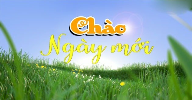 Hình ảnh chào ngày mới với hình ảnh đồng cỏ hoa nhẹ nhàng, bình yên