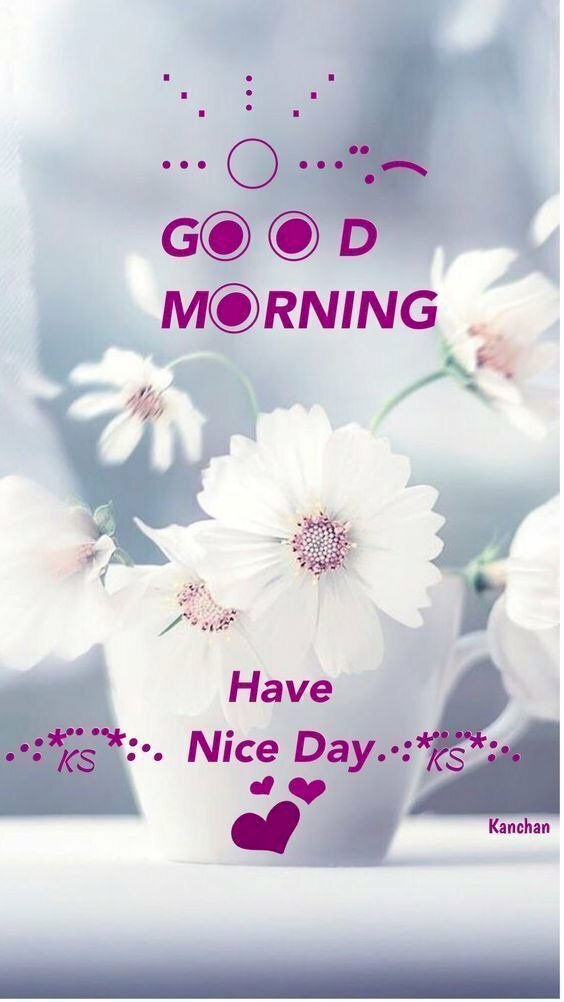 Ảnh chào ngày mới hình ảnh những bông hoa trắng nhẹ nhàng, dễ thương