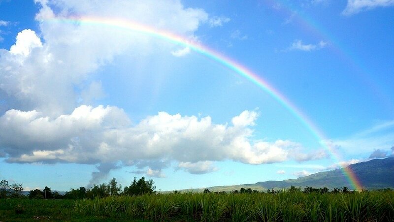 Trời xanh mây trắng và cầu vồng tạo nên hình ảnh chào ngày mới tươi đẹp với bao hy vọng mới
