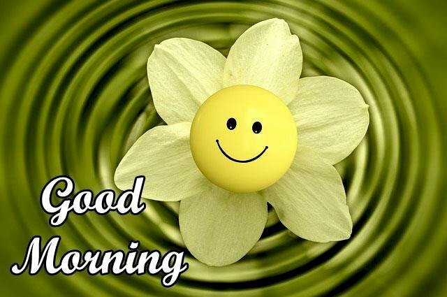 Hình ảnh bông hoa mặt cười chào ngày mới với bao niềm vui