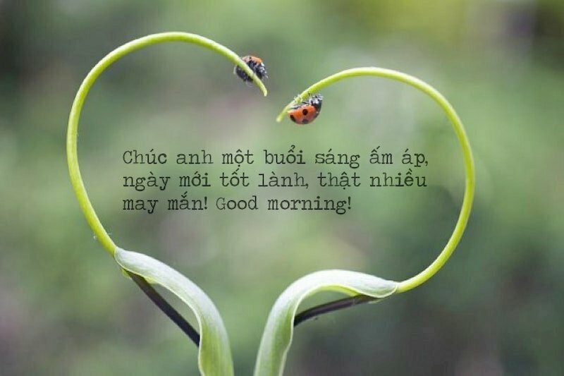 Hình ảnh và lời chúc ngày mới an lành thật dễ thương gửi tặng người yêu