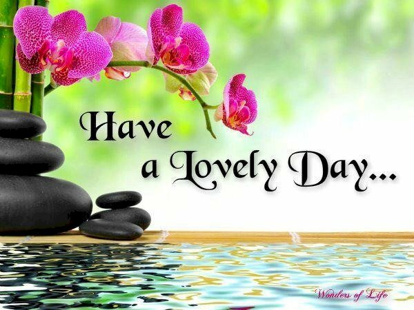 Hình ảnh chúc ngày mới bằng tiếng Anh đẹp