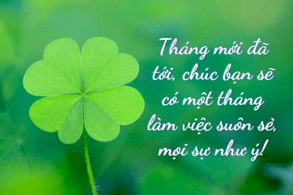 Ảnh cỏ 4 lá và lời chúc tháng mới bình an, may mắn