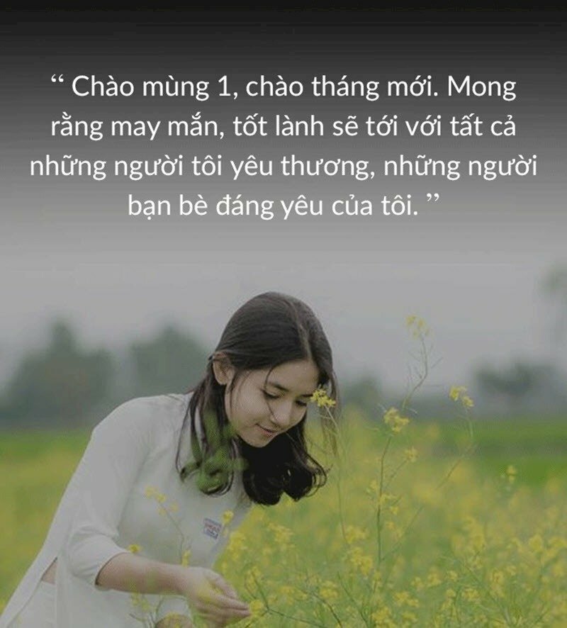 101 hình ảnh chúc mừng ngày mới đẹp, chất lượng cao, tải miễn phí