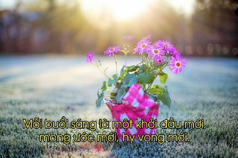 Hình ảnh chúc ngày mới ý nghĩa