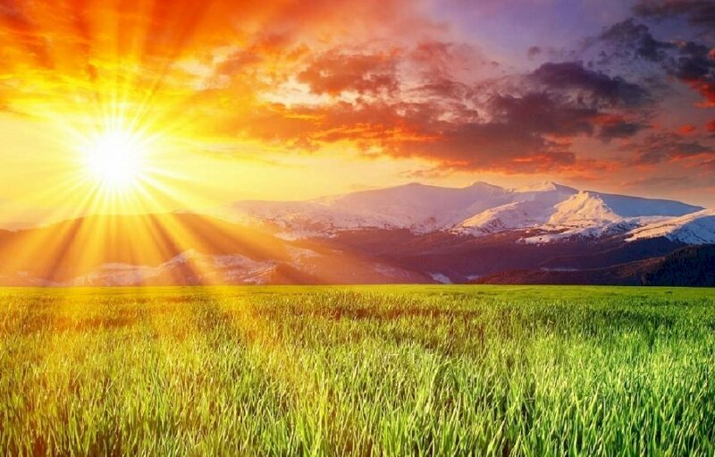 Ảnh mặt trời chiếu những tia nắng rực rỡ trong không gian thiên nhiên yên bình giúp bạn có thêm năng lượng tích cực cho một ngày mới tốt lành