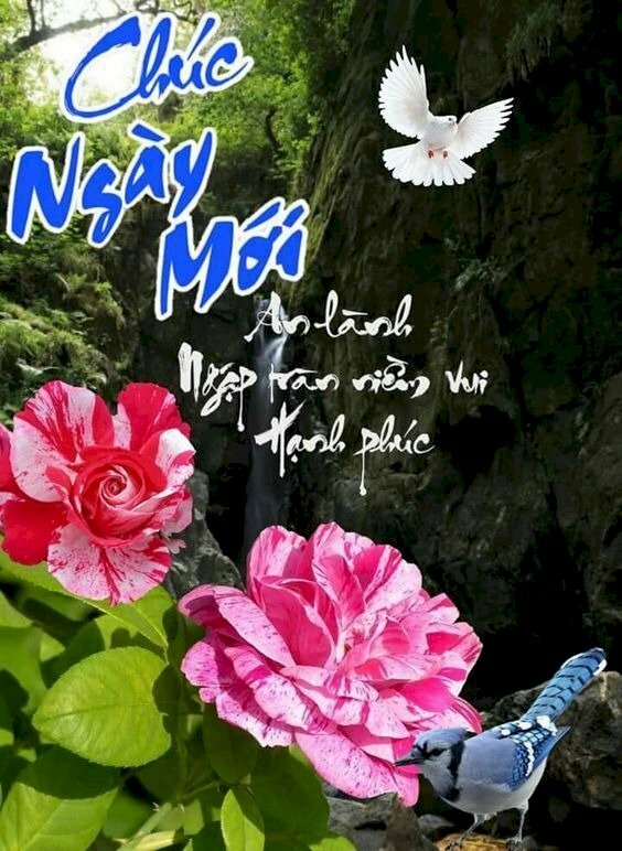 Hình ảnh hoa đẹp kèm lời chúc ngày mới hay, ý nghĩa