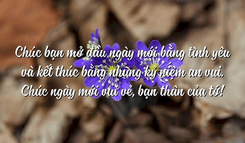 Hình ảnh những nụ hoa nhỏ xinh và lời chúc ngày mới ấm áp gửi đến bạn thân
