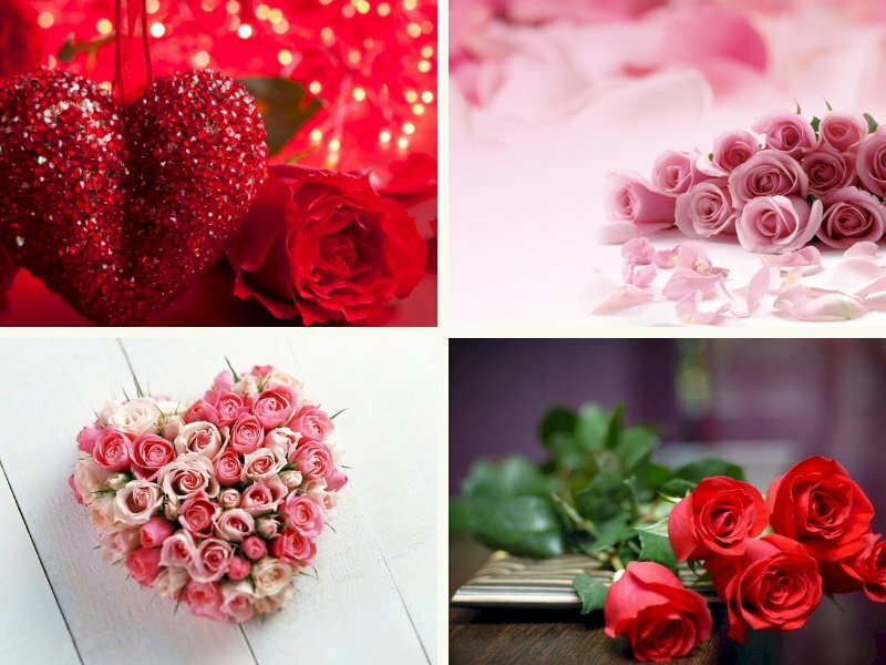 Hình ảnh hoa hồng đẹp lãng mạn - InKyThuatSo