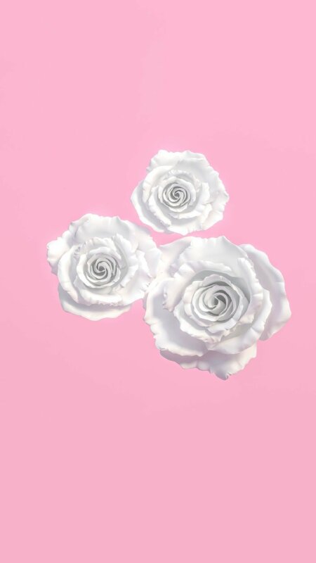 Ảnh hoa hồng trắng 3D đơn giản, đẹp mắt làm hình nền điện thoại