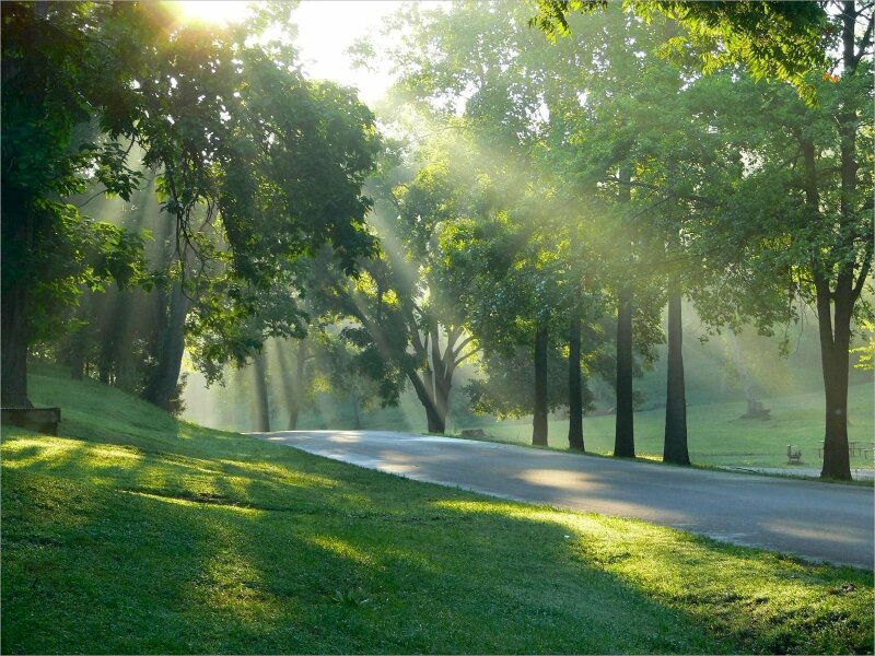 Ảnh đẹp không gian bình yên với những tia nắng ban mai ấm áp chào ngày mới an lành tươi đẹp