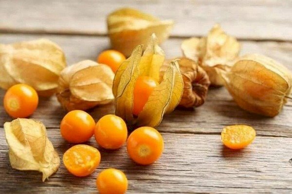 Hình ảnh quả tầm bóp căng tròn, màu vàng cam bắt mắt sau khi bỏ lớp vỏ ngoài