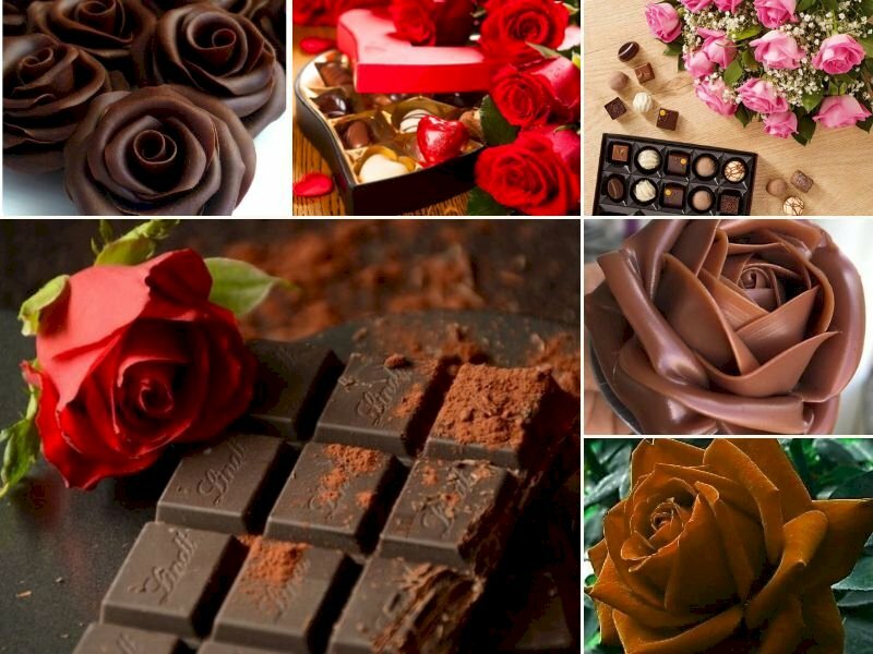 101 hình ảnh socola và hoa hồng đẹp nhất, tải miễn phí