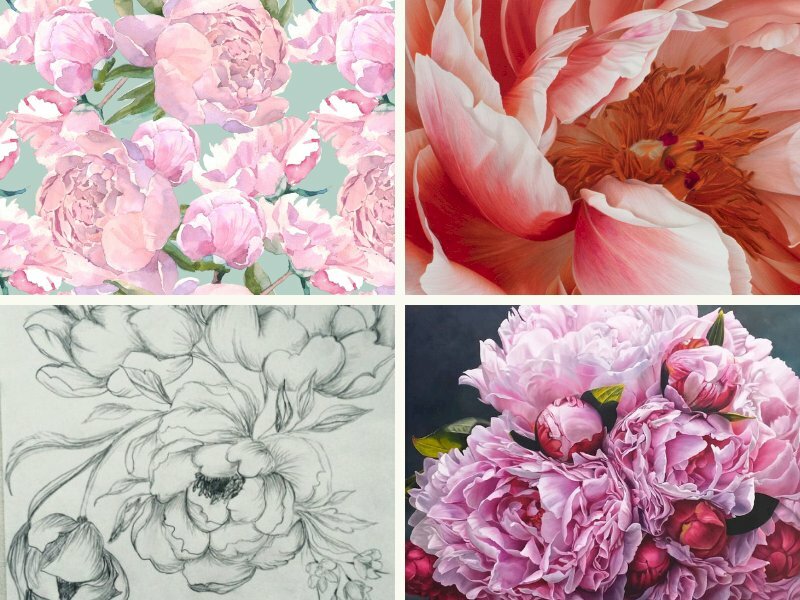 Hình vẽ hoa mẫu đơn - InKyThuatSo