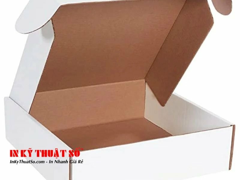 hộp carton nắp gài - 30cm x 20cm x 10cm