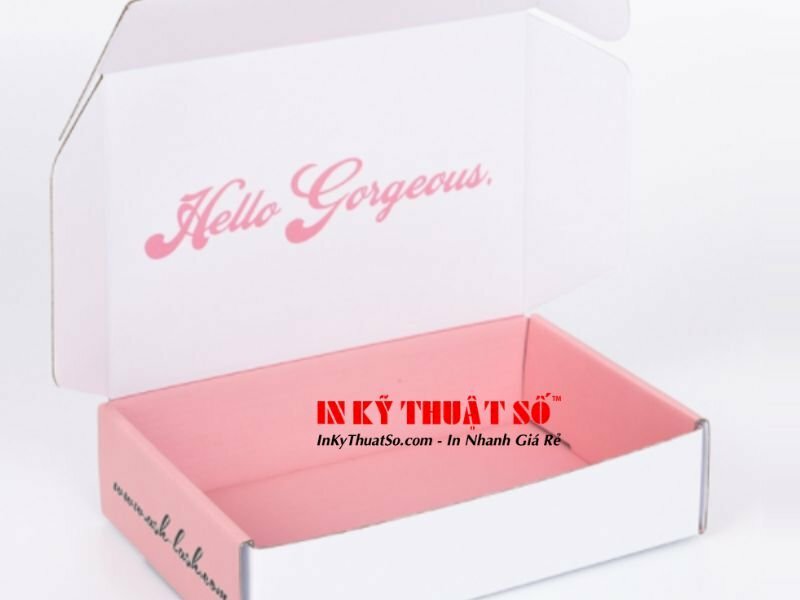 hộp carton nắp gài - 25cm x 10cm x 5cm