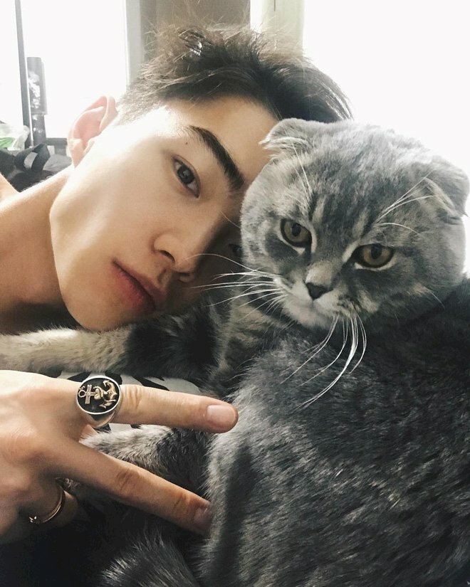 In ảnh sen và boss