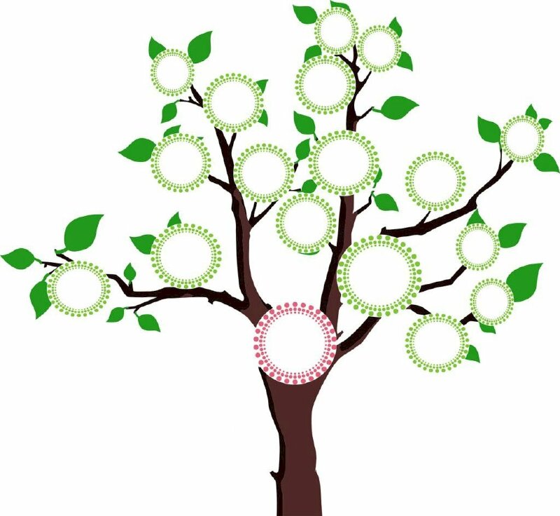 Sơ đồ tư duy sáng tạo hình cây đẹp mắt