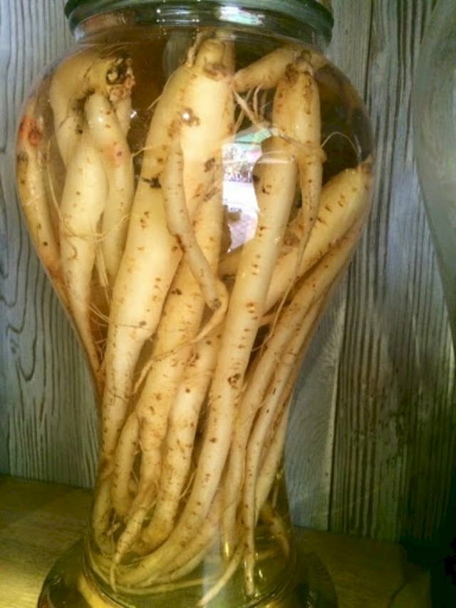 Hình ảnh rựu ngâm rễ cây mật nhân