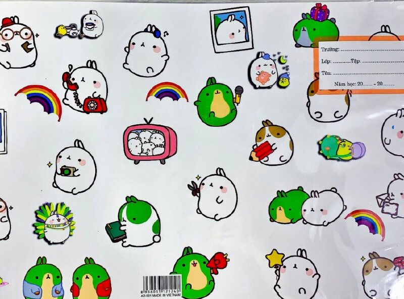 Mẫu giấy bao tập cute