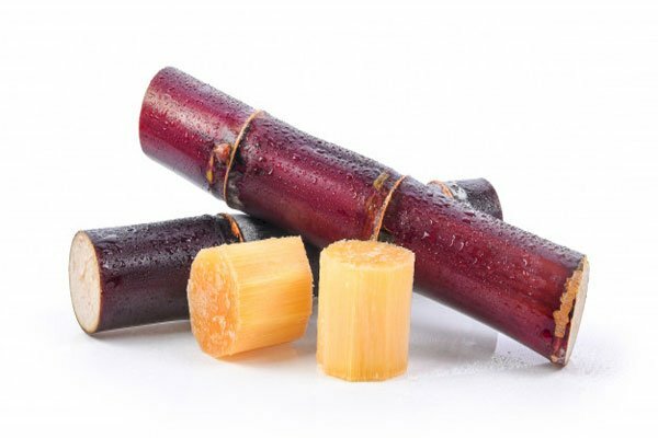 Ảnh khúc mía đỏ rất dễ thương