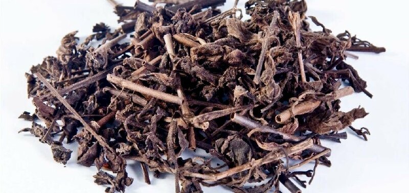 Hình ảnh cây và lá nhân trần được cắt nhỉ và phơi khô là bài thuốc hay trong Đông y