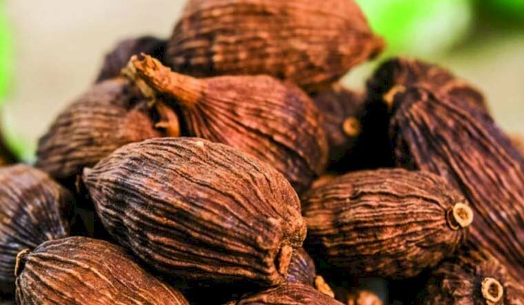 Ảnh hạt thảo quả khô ngoài các công dụng sức khỏe còn có thể dùng làm gia vị nấu ăn