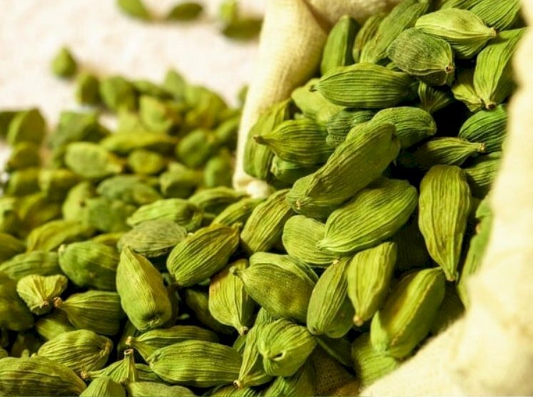 Ảnh thảo quả xanh còn gọi là Green Cardamom, xuất xứ từ Ấn Độ