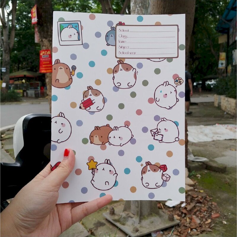 bìa bao vở molang