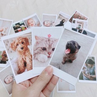 in ảnh 6x9 ảnh hình pet, thú cưng
