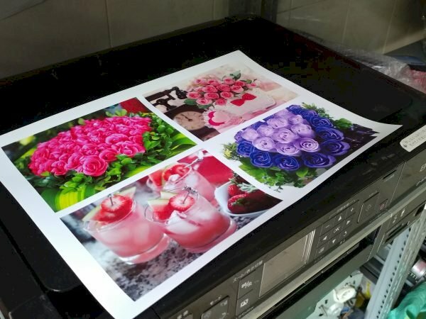 in hình lên giấy bìa cứng