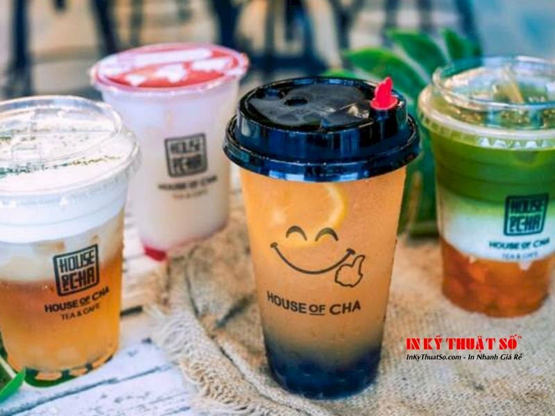 in hình lên ly nhựa theo yêu cầu