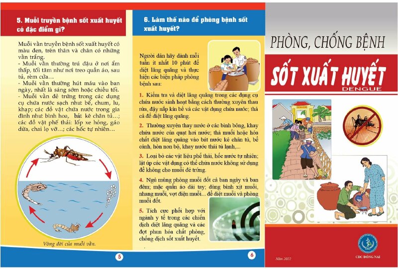 Tờ bướm sốt xuất huyết