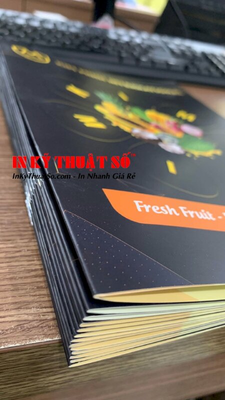 In catalogue giới thiệu sản phẩm