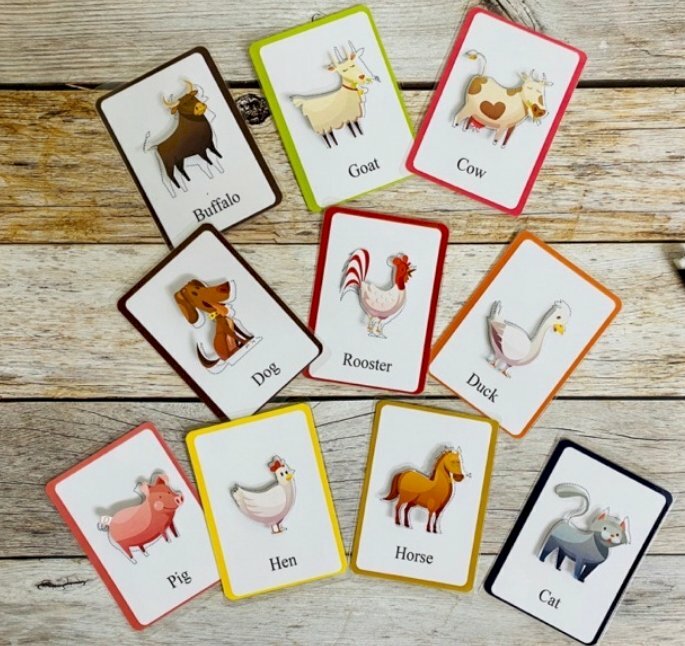 In Flashcard con vật