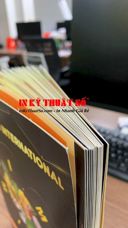 In catalogue giới thiệu sản phẩm