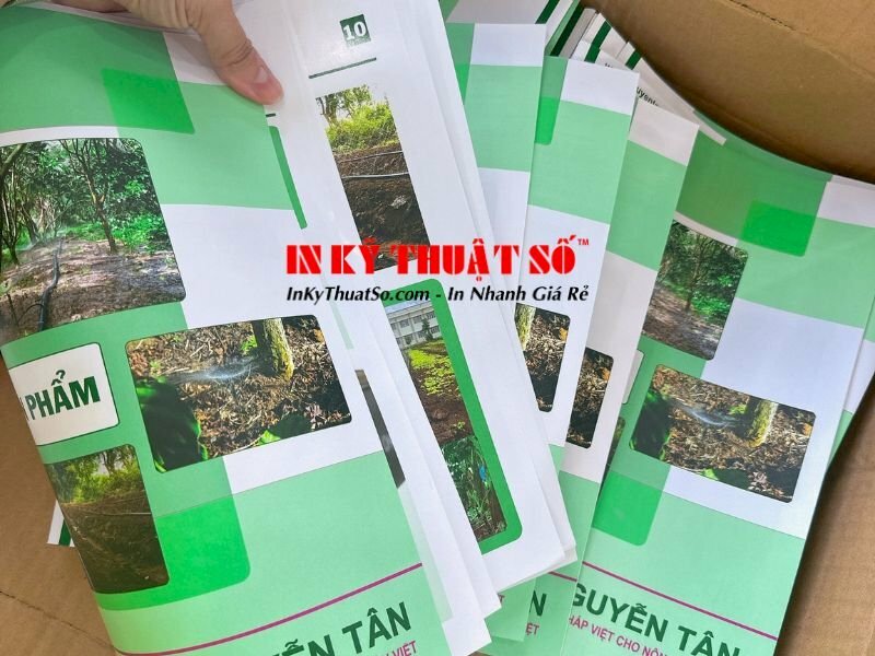 In catalogue số lượng lớn với công nghệ in offset