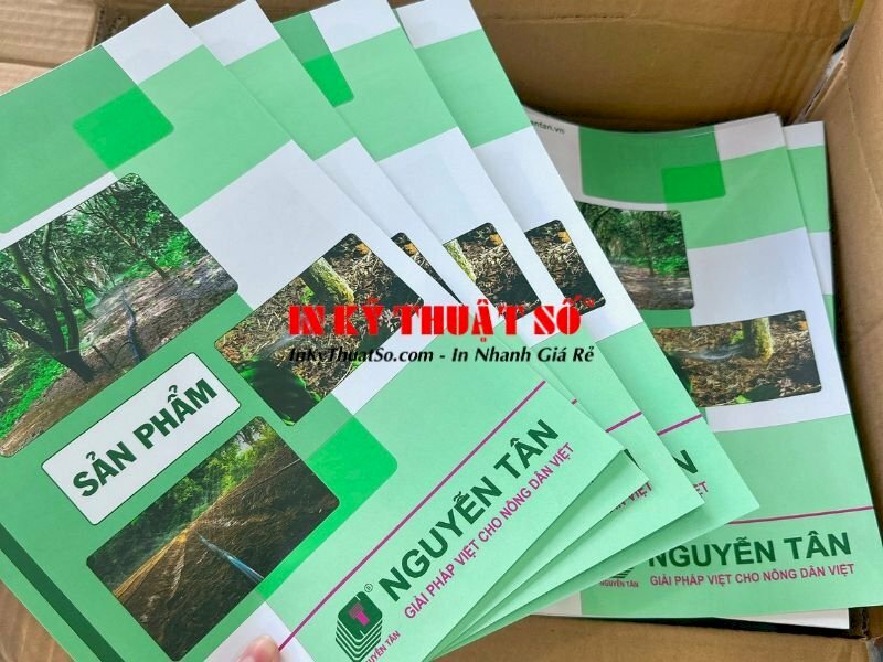 Dịch vụ in catalogue giới thiệu sản phẩm tại In Kỹ Thuật Số Since 2006