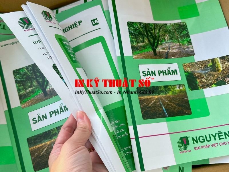 In catalogue sản phẩm khổ A4 đứng, giấy C150gsm, gáy đóng kim - INKTS370