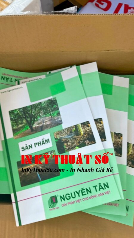 In catalogue số lượng lớn với công nghệ in offset