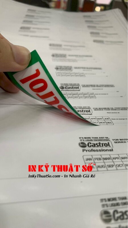 Mẫu in tem nhãn Decal 2 mặt cho thương hiệu Castrol