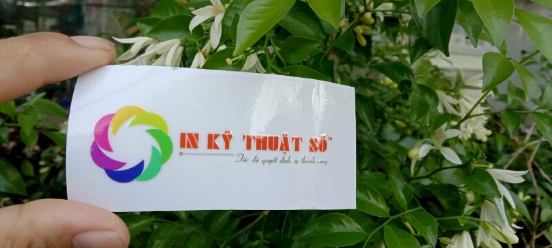 In UV tại In Kỹ Thuật Số Since 2006