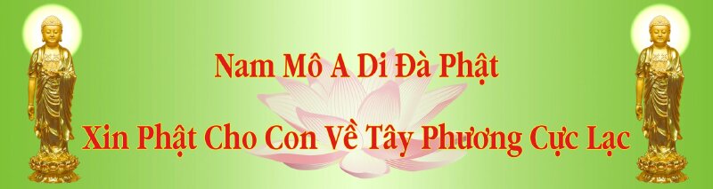 Ảnh bìa Phật A Di, hình ảnh hoa sen Nam Mô A Di Đà Phật có dòng chữ Nam Mô A Di Đà Phật, xin cho con về Tây Phương Cực Lạc.