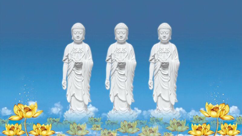 Hình ảnh ba tượng Phật A Di Đà màu trắng hiển thị giữa không trung, phía dưới là những bông sen vàng đang đua nở.
