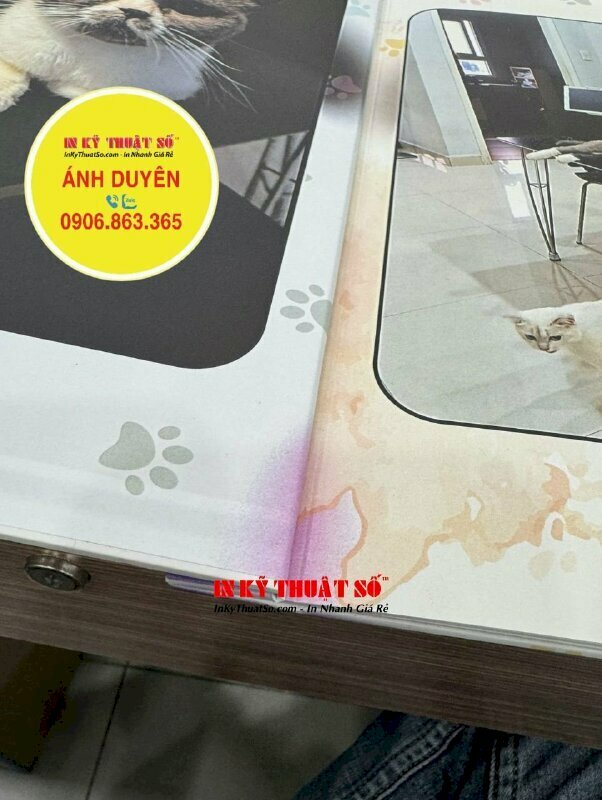 In photobook kỷ niệm dày 18 trang đóng ghim inox