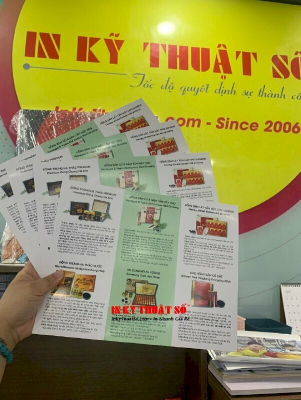 In tờ gập 2 mặt giới thiệu sản phẩm chất liệu giấy C300gsm kích thước 28x21.6cm cấn 2 đường