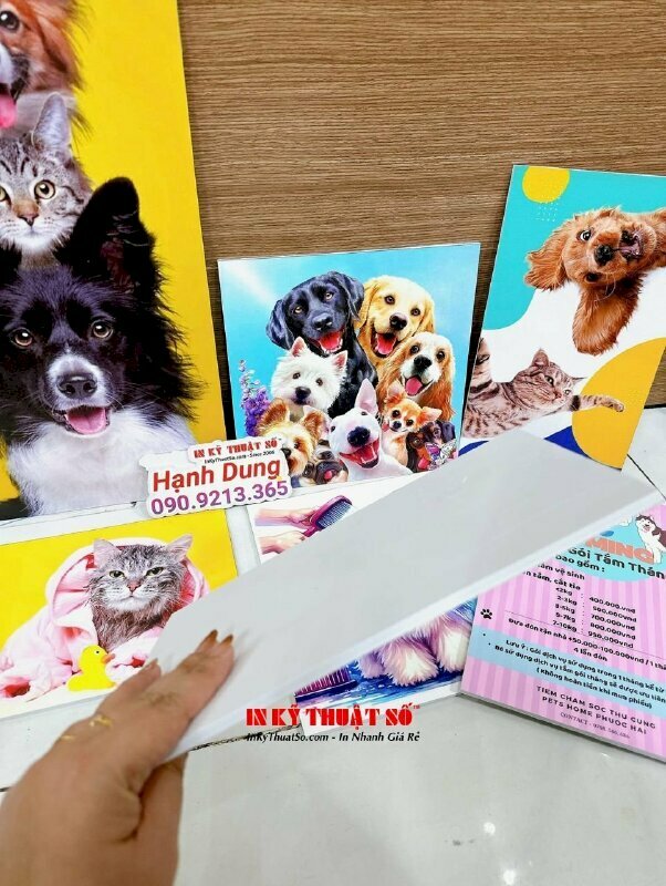 Tranh in mực dầu chất liệu PP bồi formex cứng cáp trang trí cửa hàng thú cưng tuyệt đẹp